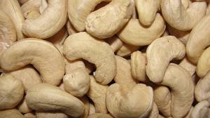 Cashew Nut Manufacturers